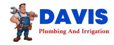 Trusted plumber in RAYMONDVILLE